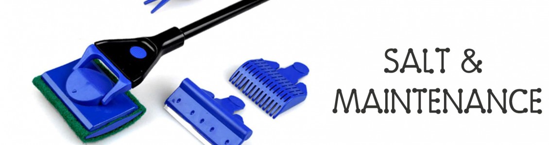 Aquarium Maintenance