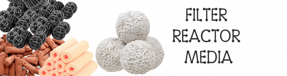 Biological Filtration