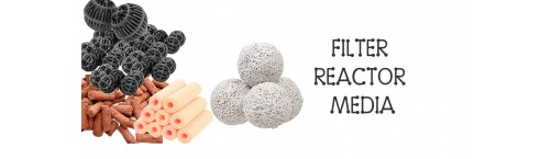 Biological Filtration