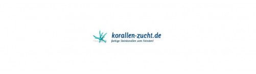 Korallen-Zucht