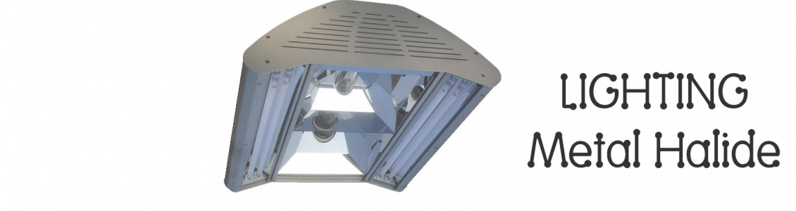 Metal Halide