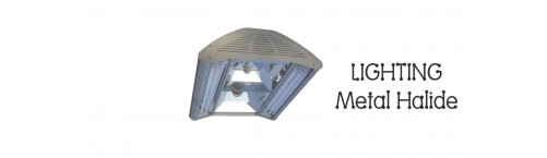 Metal Halide