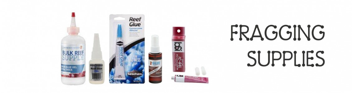 Super Glue & Epoxies