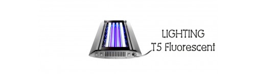 T5 Fluorescent