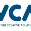 Vivid Creative Aquatics