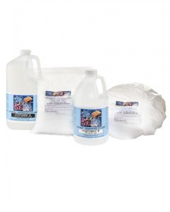 100-GALLON B-IONIC SEAWATER SYSTEM REFILL KIT - ESV