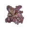 55 Pounds Real Reef Rock - Mixed Sizes - Real Reef Solutions