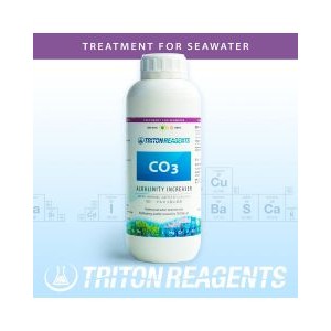 ALKALINITY BOOSTER CO3 1000ML - TRITON
