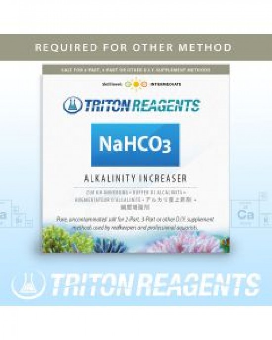 ALKALINITY INCREASER NAHCO3 4KG - TRITON