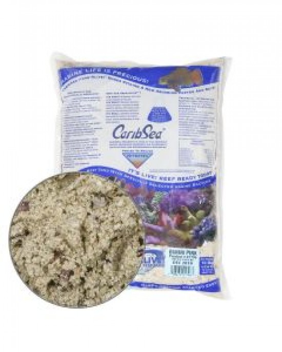 BIMINI PINK ARAG-ALIVE! LIVE REEF SAND - CARIBSEA