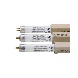 CORAL LIGHT T5 LAMP - KORALLEN-ZUCHT