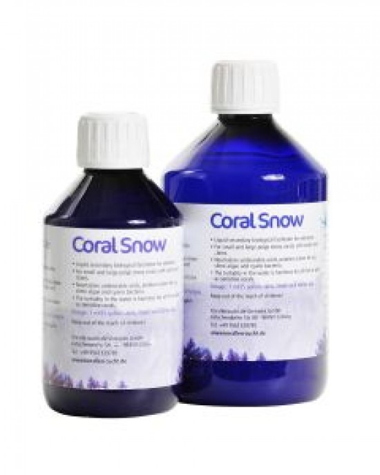 CORAL SNOW - KORALLEN-ZUCHT
