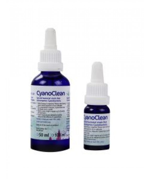 CYANO CLEAN - KORALLEN-ZUCHT