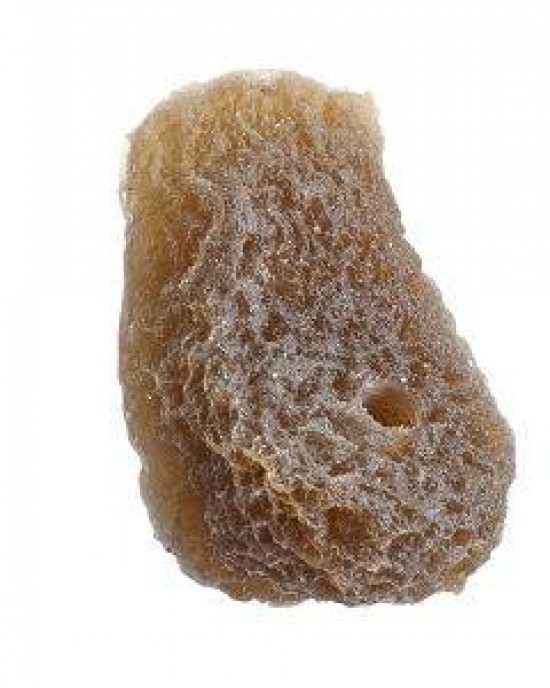 DARK BROWN ANGLED SHELF SINGLE MAGNETIC FRAG RACK - REEF RAX