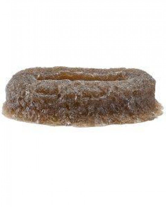 DARK BROWN CLAM JAMMER - CLAM ANEMONE CRADLE - REEF RAX