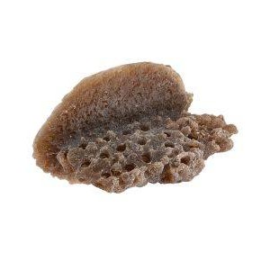 DARK BROWN LARGE SHELF MAGNETIC FRAG RACK - REEF RAX