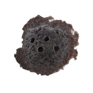 DARK BROWN SANDBED FRAG ROCK - REEF RAX