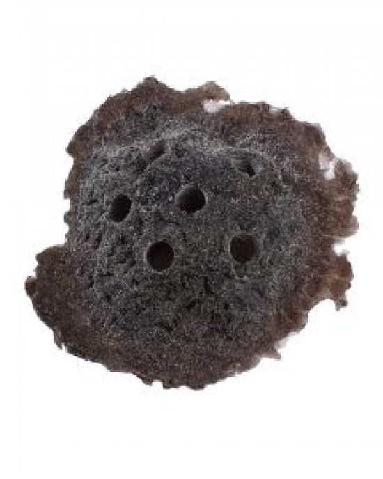 DARK BROWN SANDBED FRAG ROCK - REEF RAX