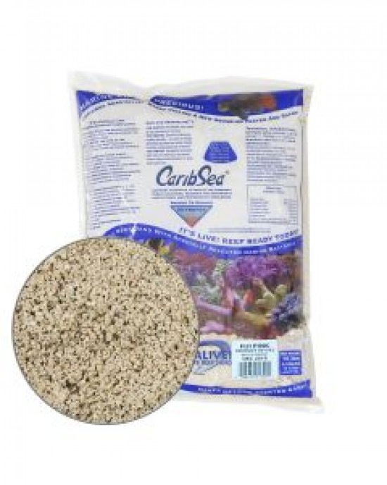 FIJI PINK ARAG-ALIVE! LIVE REEF SAND - CARIBSEA