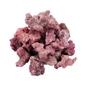 FragZone Coral Mounts - Caribsea