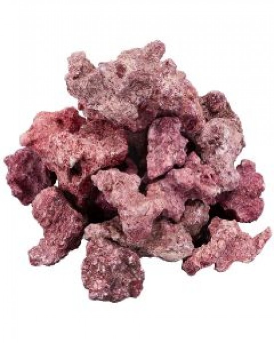 FragZone Coral Mounts - Caribsea