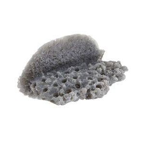 GREY LARGE SHELF MAGNETIC FRAG RACK - REEF RAX