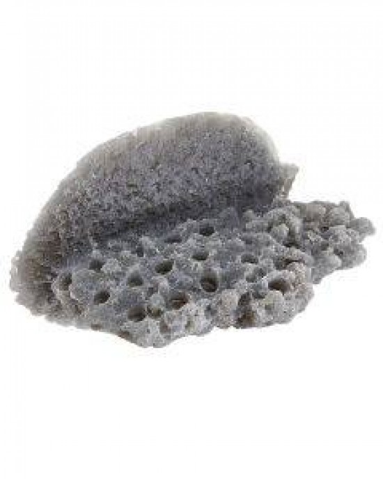 GREY LARGE SHELF MAGNETIC FRAG RACK - REEF RAX