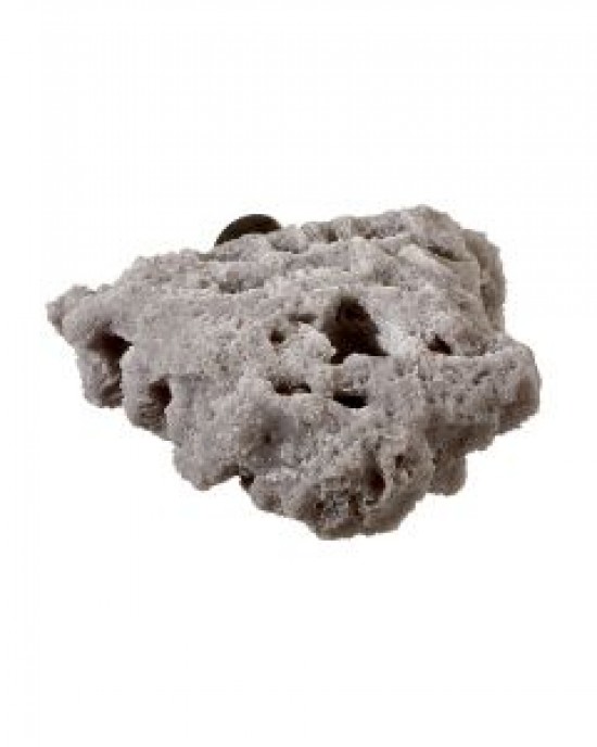 GREY NANO SHELF SINGLE MAGNETIC FRAG RACK - REEF RAX