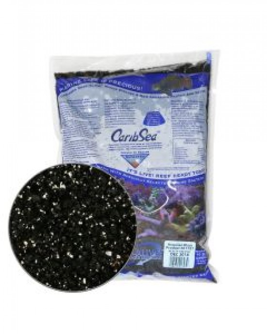 HAWAIIAN BLACK ARAG-ALIVE! LIVE REEF SAND - CARIBSEA