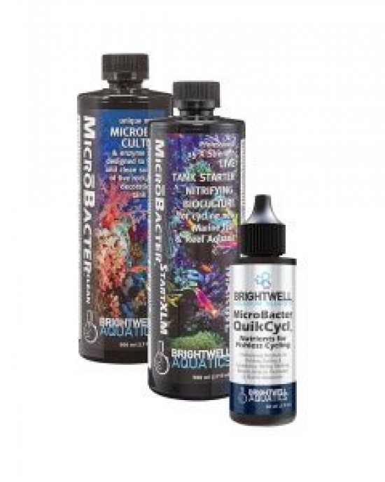 MICROBACTER DRY ROCK BACTERIA STARTER KIT - BRIGHTWELL AQUATICS