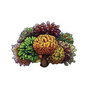 MR. CHILI EUPHYLLIN' IT STICKER - BULK REEF SUPPLY