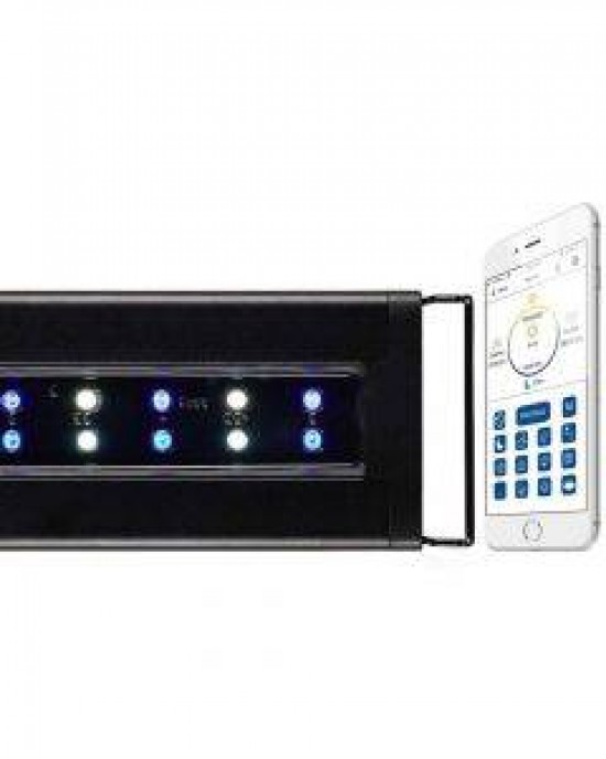 ORBIT MARINE IC LED LIGHT FIXTURE - WITH LOOP CONTROL - CURRENT USA