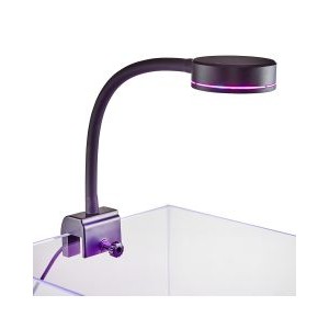 PICO REFUGIUM LED - REEFBREEDERS