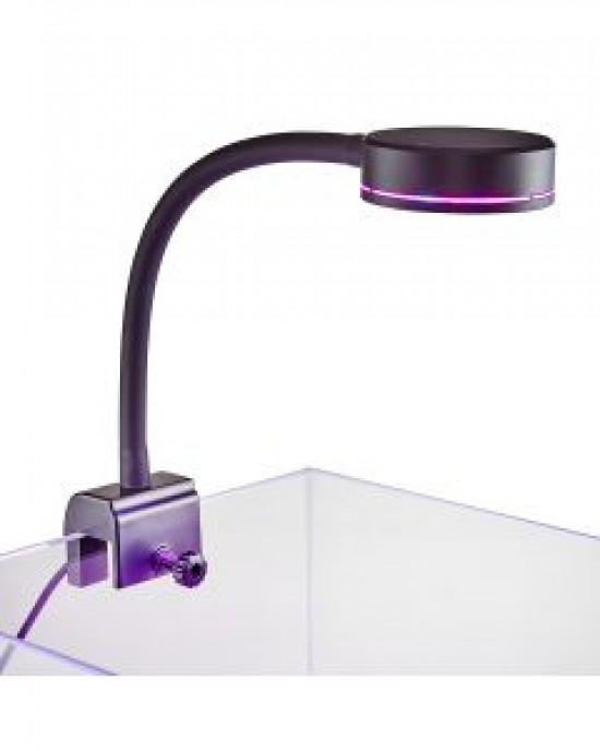 PICO REFUGIUM LED - REEFBREEDERS