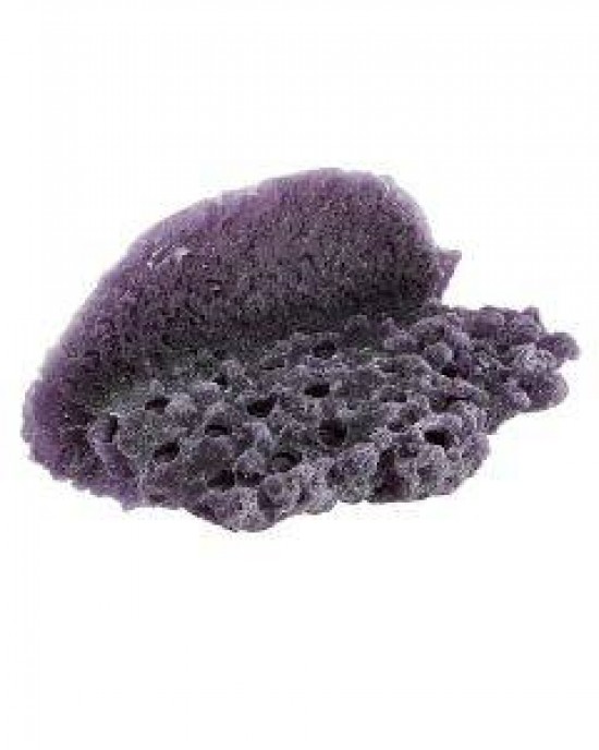PURPLE LARGE SHELF MAGNETIC FRAG RACK - REEF RAX