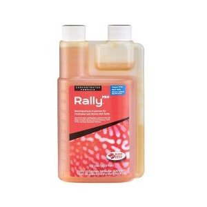 RALLY PRO FISH TREATMENT - IN DISPENSING BOTTLE - RUBY REEF