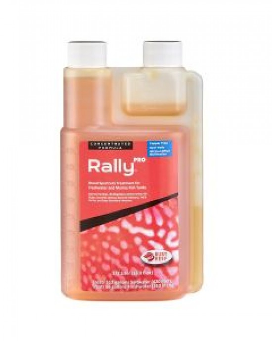 RALLY PRO FISH TREATMENT - IN DISPENSING BOTTLE - RUBY REEF