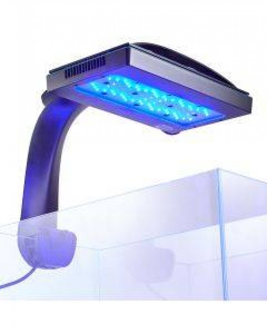 RANDY'S 2FT. SPS LIGHTING BUNDLE - BULK REEF SUPPLY