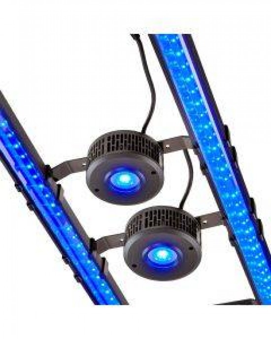 RANDY'S 4FT. SPS LIGHTING BUNDLE - BULK REEF SUPPLY