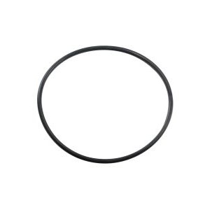 REPLACEMENT BIG BLUE CANISTER O-RING - BULK REEF SUPPLY