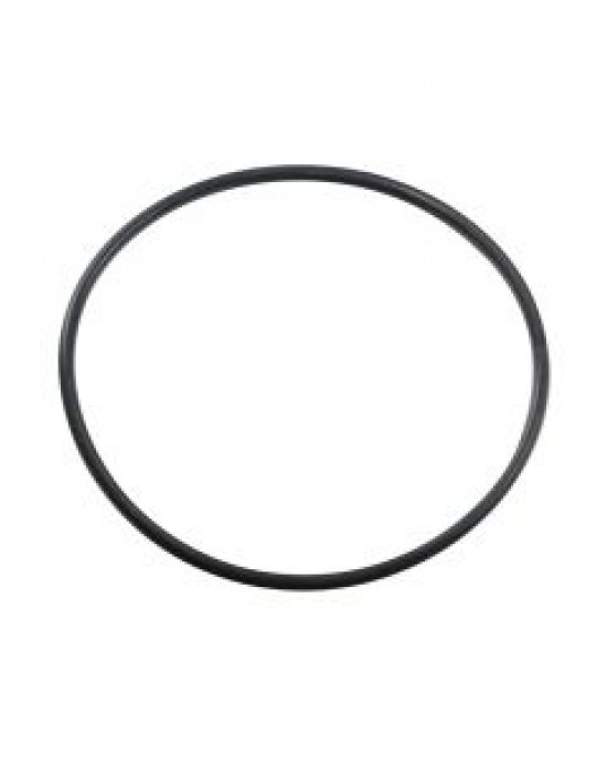 REPLACEMENT BIG BLUE CANISTER O-RING - BULK REEF SUPPLY