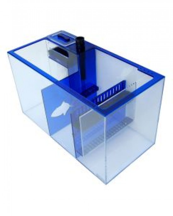 SAPPHIRE SUMP 26 - TRIGGER SYSTEMS