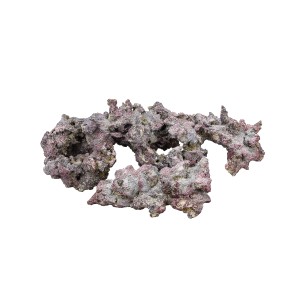 SHAPES LIFEROCK DRY LIVE ROCK - CARIBSEA