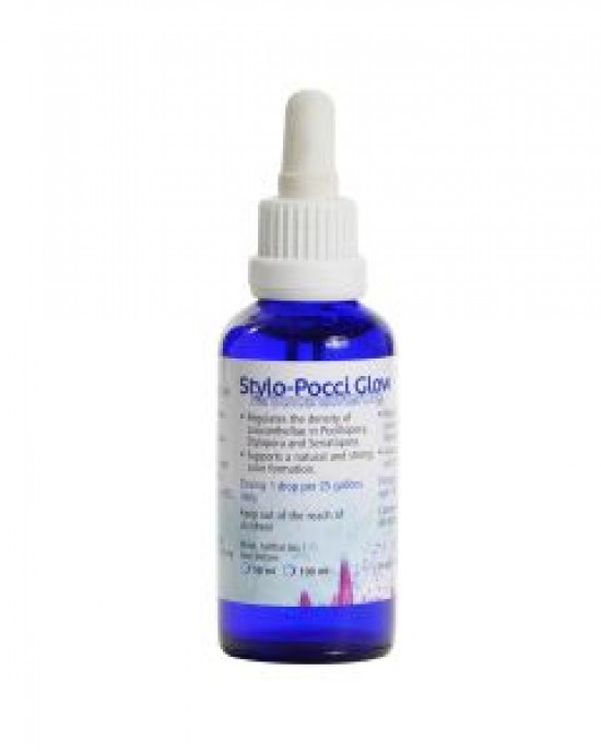 STYLO POCCI GLOW - KORALLEN-ZUCHT