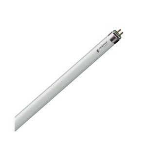 SUPER ACTINIC T5 - GIESEMANN