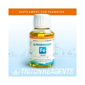 TRACE BASE IRON 100ML - TRITON