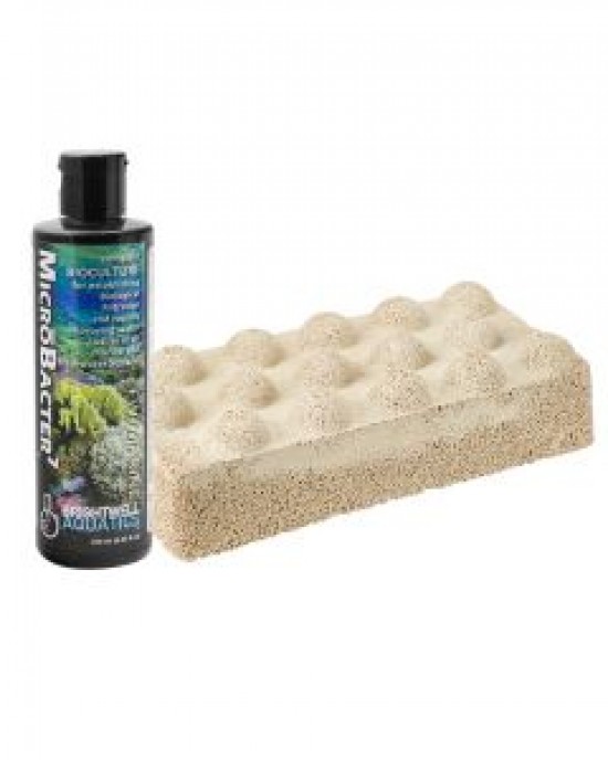XPORT-NO3 DIMPLED BRICK WITH 250ML MICROBACTER7 - BRIGHTWELL AQUATICS