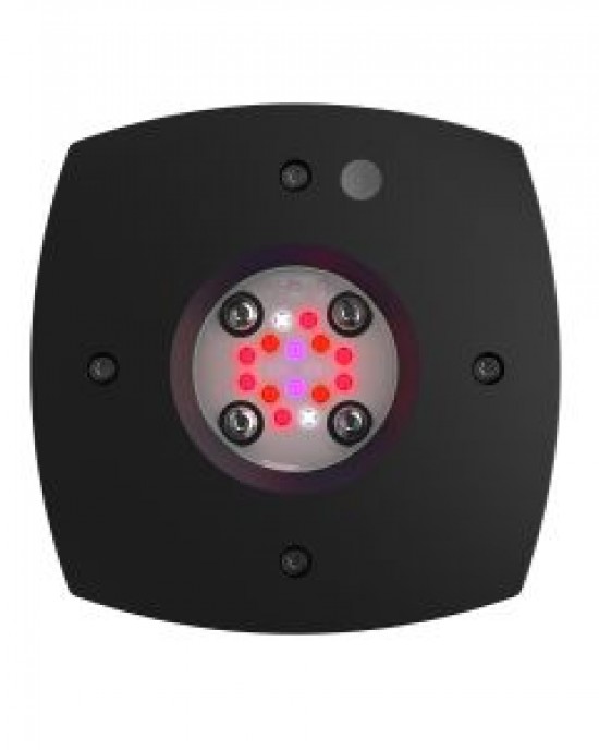 PRIME 16 LED FUGE LIGHT - BLACK BODY - AQUA ILLUMINATION