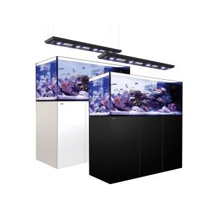REEFER PENINSULA DELUXE 650 SYSTEM (140 GAL) - RedSea