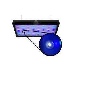 SKY DIFFUSED SHIMZ - NEPTUNE SYSTEMS